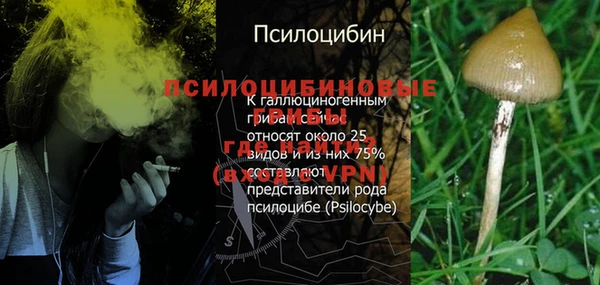 винт Арсеньев