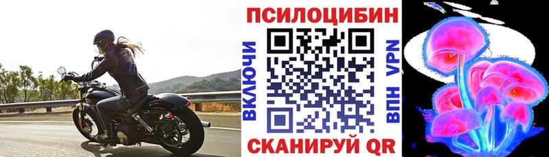 где можно купить наркотик  Углич  Галлюциногенные грибы Psilocybe 